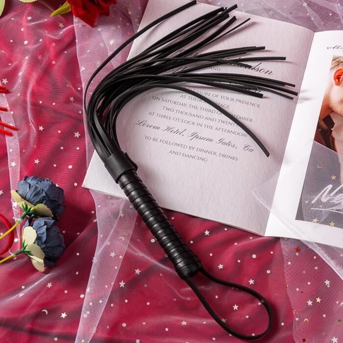 Spanking Leather Whip 4