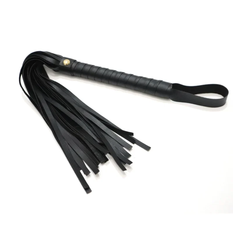 Spanking Leather Whip