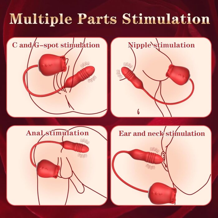 Sucker And Thrusting Vibrator 2