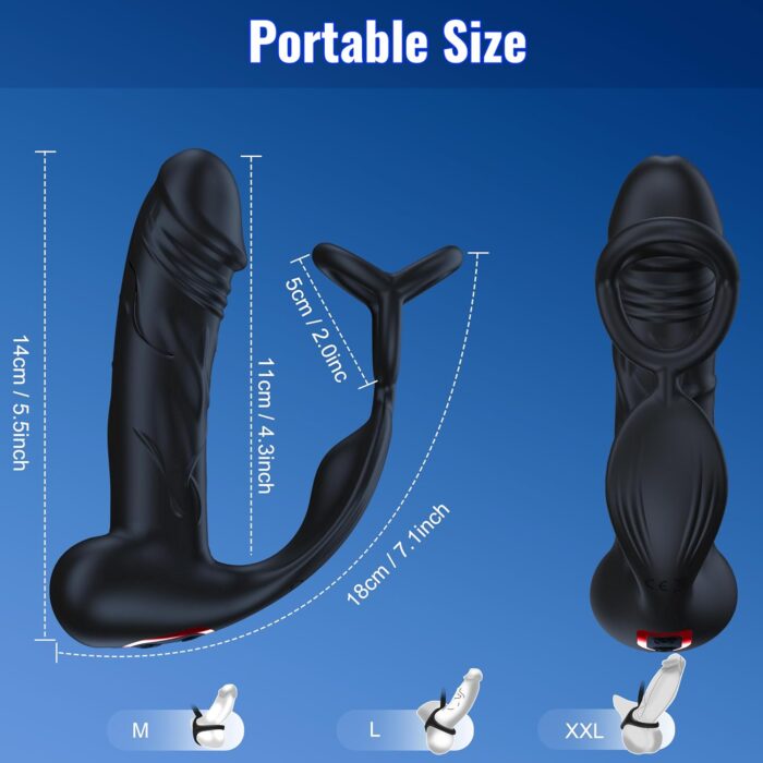 Vibrating Anal Simulator 2