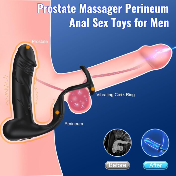 Vibrating Anal Simulator